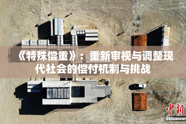 《特殊偿重》：重新审视与调整现代社会的偿付机制与挑战