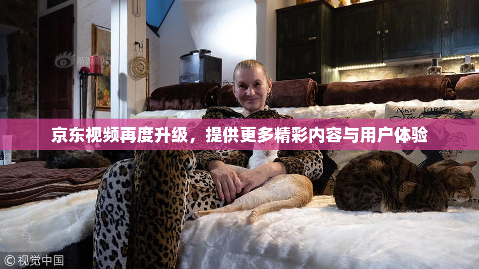 京东视频再度升级，提供更多精彩内容与用户体验