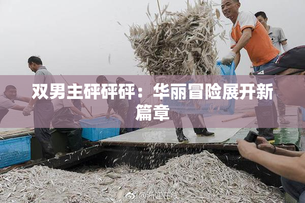 双男主砰砰砰：华丽冒险展开新篇章