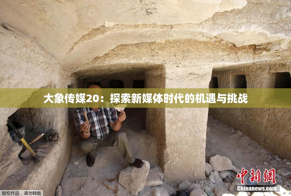 大象传媒20：探索新媒体时代的机遇与挑战