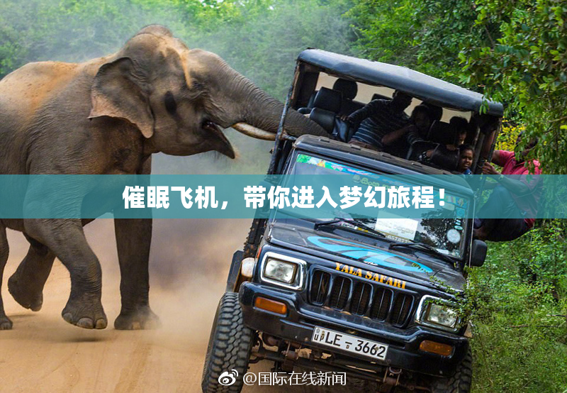 催眠飞机，带你进入梦幻旅程！