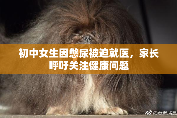 初中女生因憋尿被迫就医，家长呼吁关注健康问题
