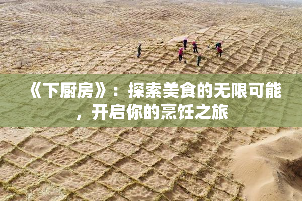 《下厨房》：探索美食的无限可能，开启你的烹饪之旅