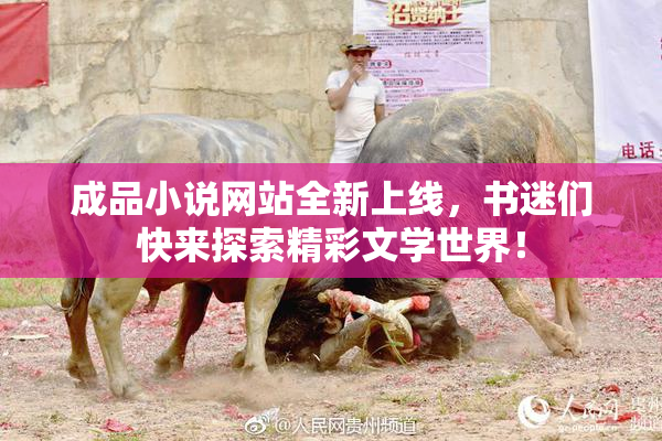 成品小说网站全新上线，书迷们快来探索精彩文学世界！