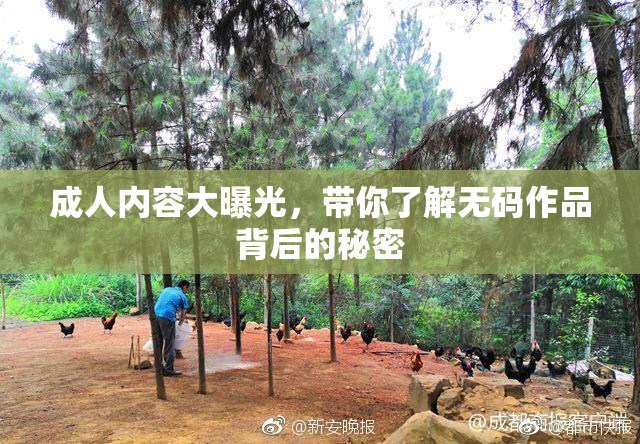 成人内容大曝光，带你了解无码作品背后的秘密
