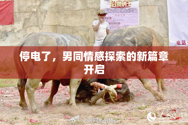 停电了，男同情感探索的新篇章开启