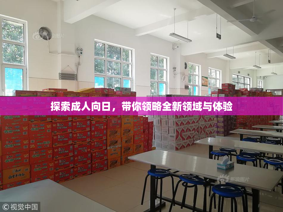 探索成人向日，带你领略全新领域与体验