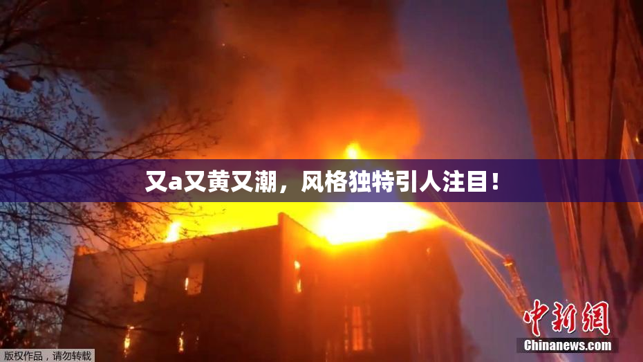 又a又黄又潮，风格独特引人注目！