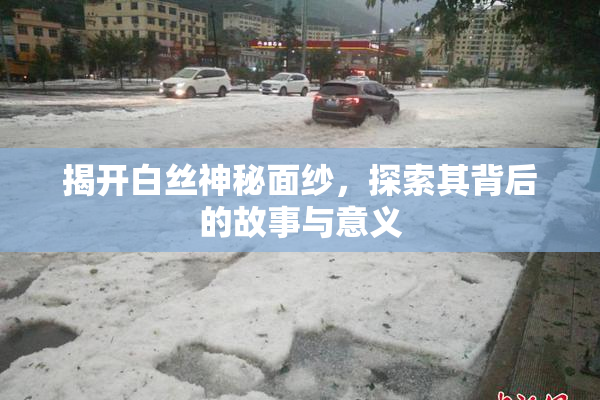 揭开白丝神秘面纱，探索其背后的故事与意义