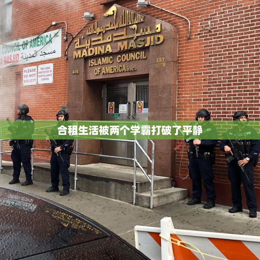 合租生活被两个学霸打破了平静