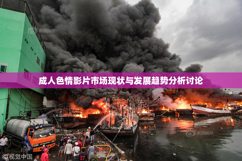 成人色情影片市场现状与发展趋势分析讨论