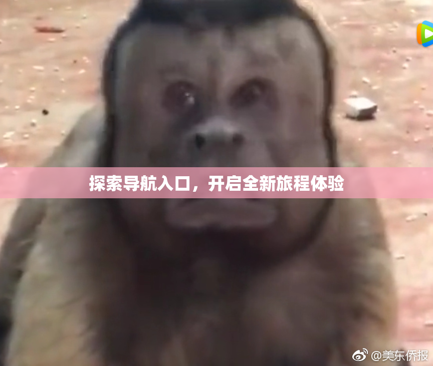 探索导航入口，开启全新旅程体验