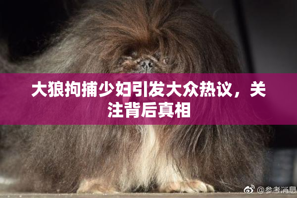 大狼拘捕少妇引发大众热议，关注背后真相