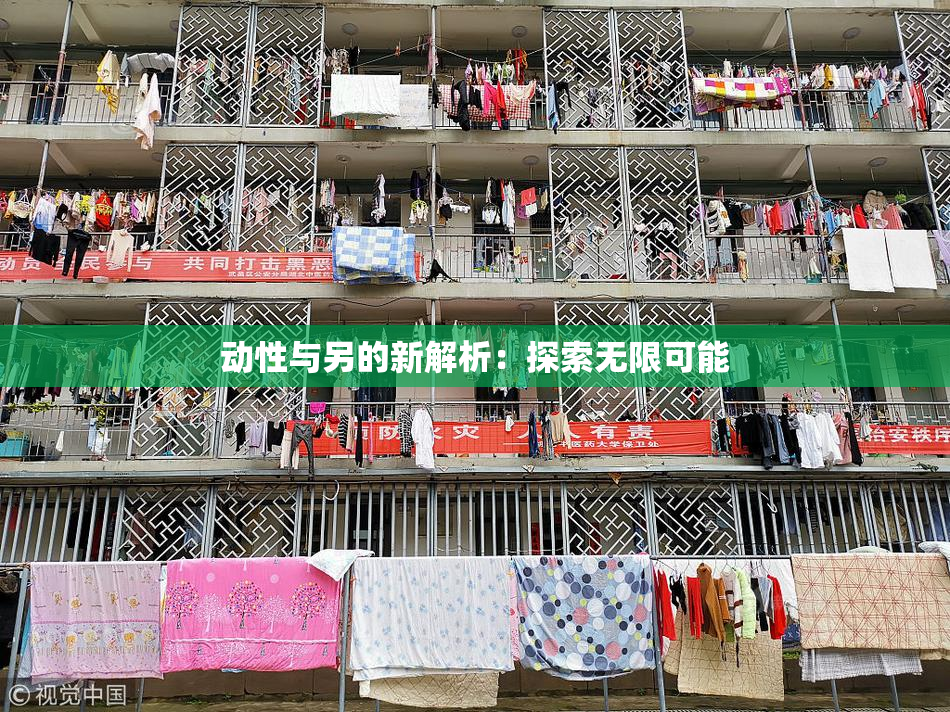 动性与另的新解析：探索无限可能
