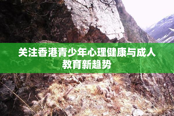 关注香港青少年心理健康与成人教育新趋势