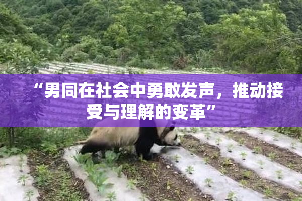 “男同在社会中勇敢发声，推动接受与理解的变革”