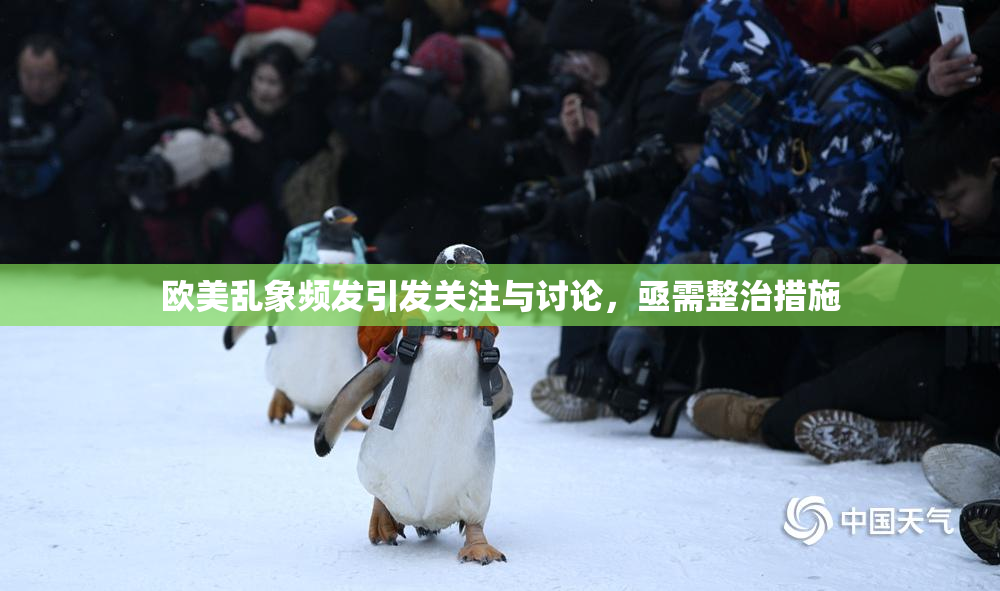 欧美乱象频发引发关注与讨论，亟需整治措施