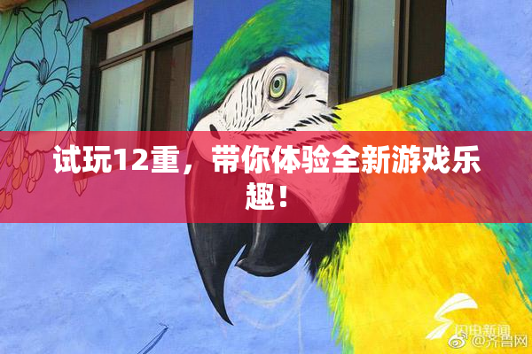 试玩12重，带你体验全新游戏乐趣！
