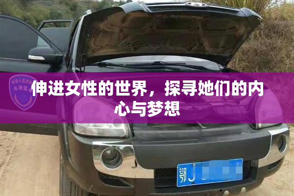 伸进女性的世界，探寻她们的内心与梦想