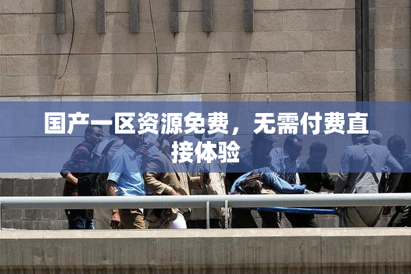 国产一区资源免费，无需付费直接体验