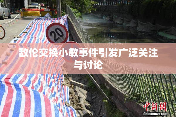 敌伦交换小敏事件引发广泛关注与讨论