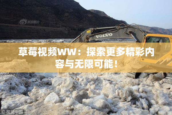 草莓视频WW：探索更多精彩内容与无限可能！