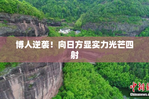 博人逆袭！向日方显实力光芒四射