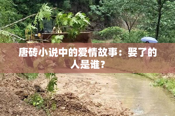 唐砖小说中的爱情故事：娶了的人是谁？