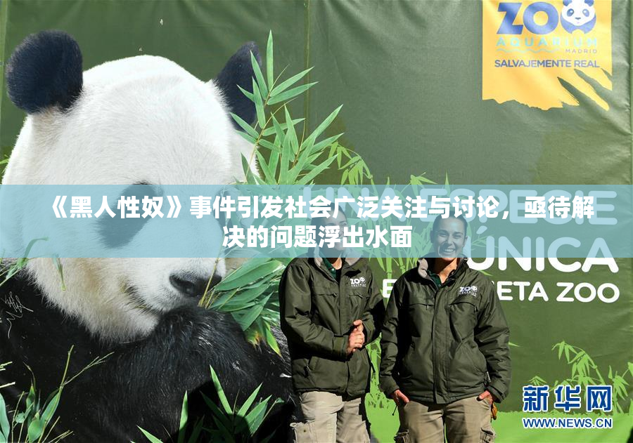 《黑人性奴》事件引发社会广泛关注与讨论，亟待解决的问题浮出水面