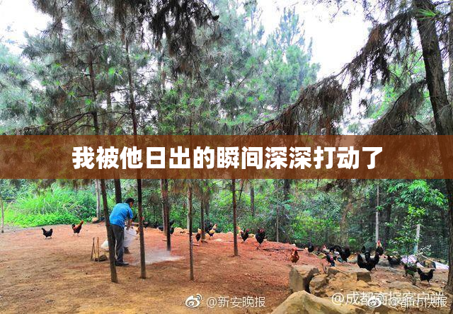 我被他日出的瞬间深深打动了