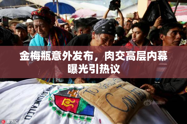 金梅瓶意外发布，肉交高层内幕曝光引热议