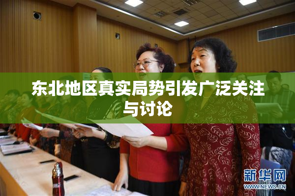 东北地区真实局势引发广泛关注与讨论