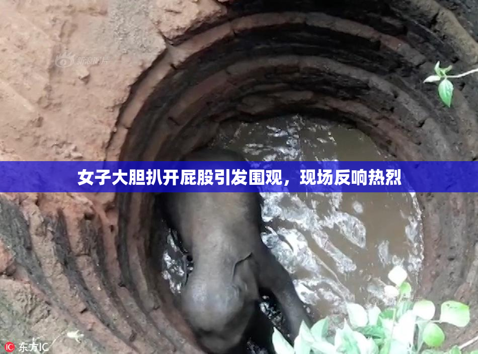 女子大胆扒开屁股引发围观，现场反响热烈