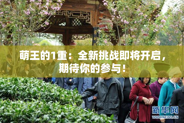 萌王的1重：全新挑战即将开启，期待你的参与！