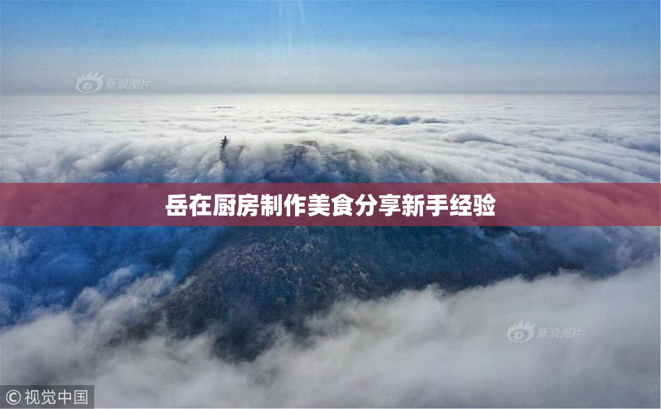 岳在厨房制作美食分享新手经验