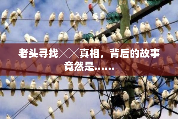 老头寻找╳╳真相，背后的故事竟然是……