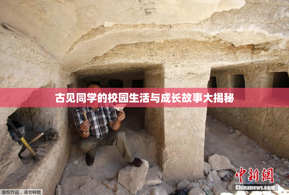 古见同学的校园生活与成长故事大揭秘