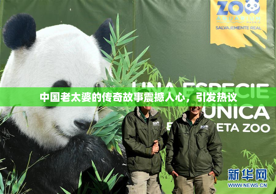 中国老太婆的传奇故事震撼人心，引发热议
