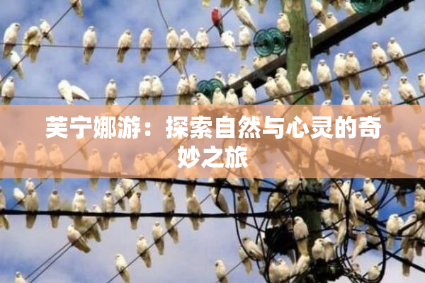 芙宁娜游：探索自然与心灵的奇妙之旅