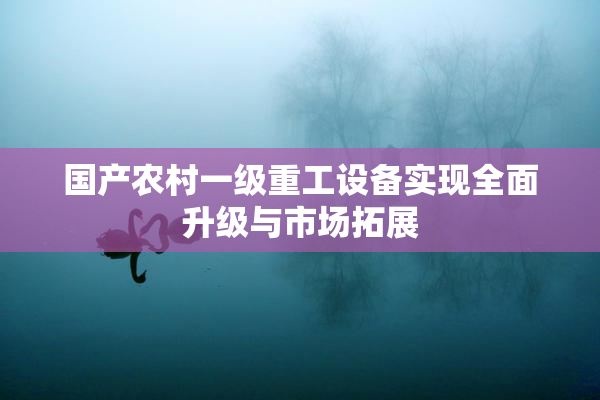国产农村一级重工设备实现全面升级与市场拓展