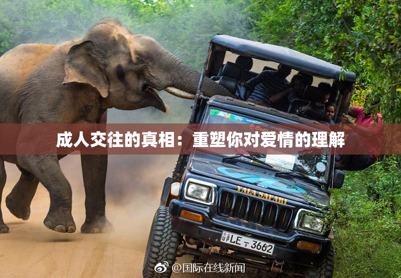 成人交往的真相：重塑你对爱情的理解