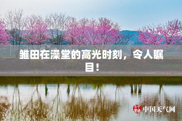 雏田在澡堂的高光时刻，令人瞩目！
