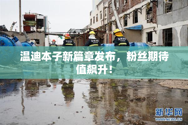 温迪本子新篇章发布，粉丝期待值飙升！