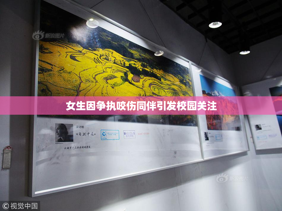 女生因争执咬伤同伴引发校园关注