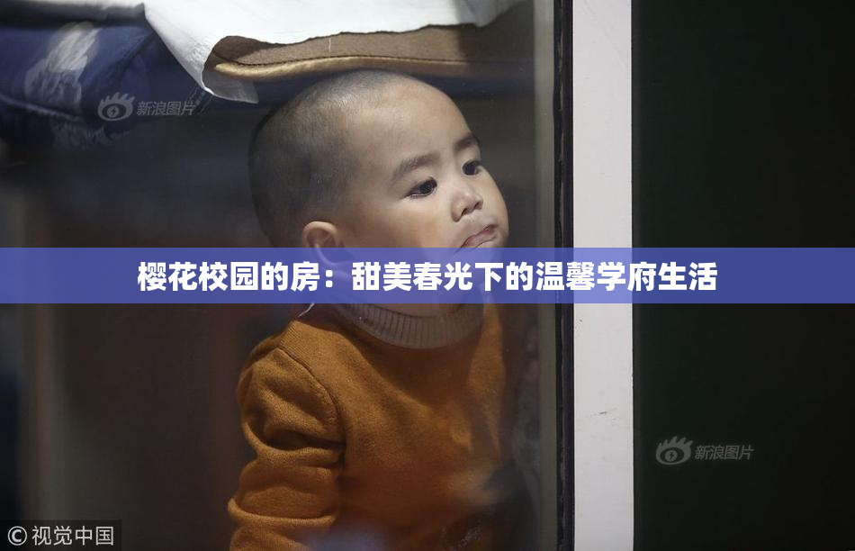 樱花校园的房：甜美春光下的温馨学府生活