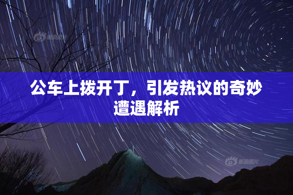 公车上拨开丁，引发热议的奇妙遭遇解析