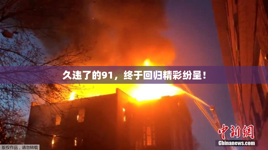 久违了的91，终于回归精彩纷呈！