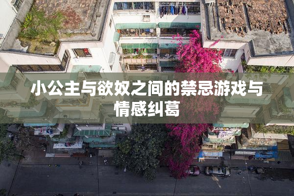 小公主与欲奴之间的禁忌游戏与情感纠葛