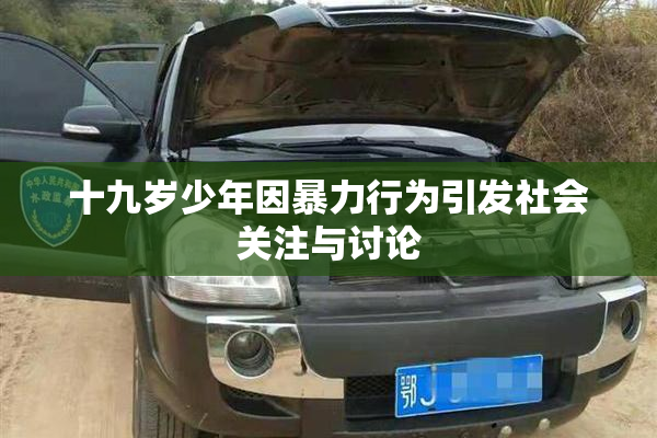 十九岁少年因暴力行为引发社会关注与讨论