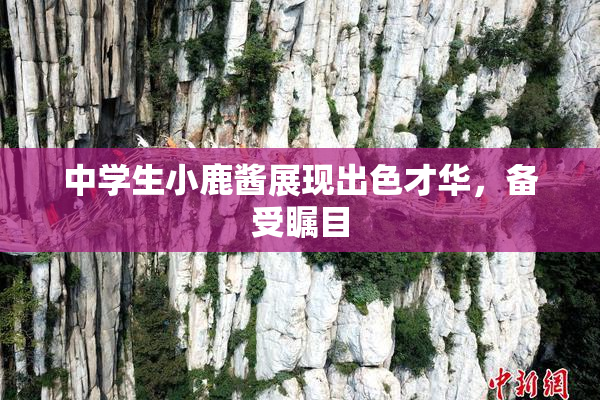 中学生小鹿酱展现出色才华，备受瞩目
